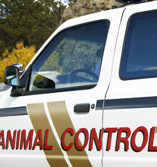 Animal Control