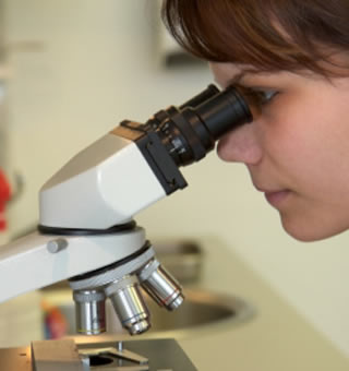 Clinical Lab Testing